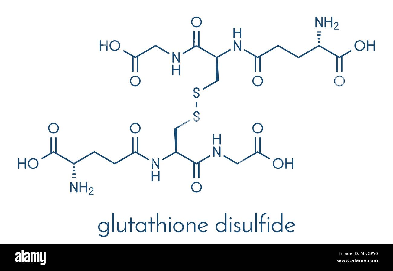 glutathion strukturformel Glutathion (oxidiertes Glutathion, Gssg) Molekül. Skelettmuskulatur Formel  Stock-Vektorgrafik