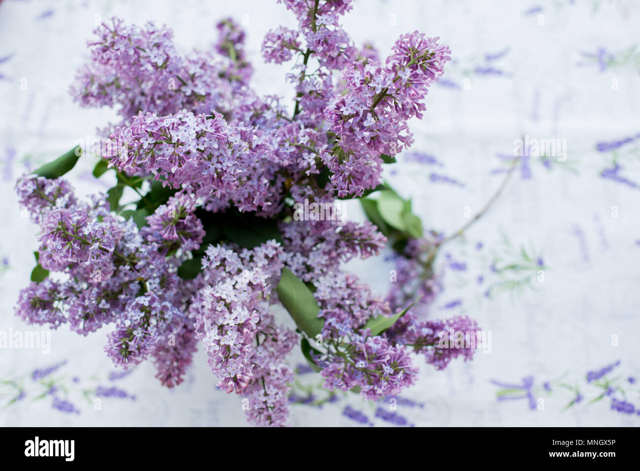 Flieder Strauß in der Vase auf dem Tisch Stockfoto