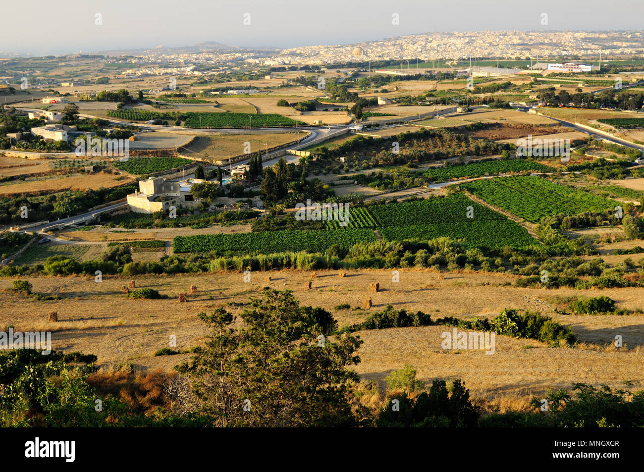 Panorammic Blick von Mdina, mit der Stadt in der Ferne Mosta, Malta Stockfoto