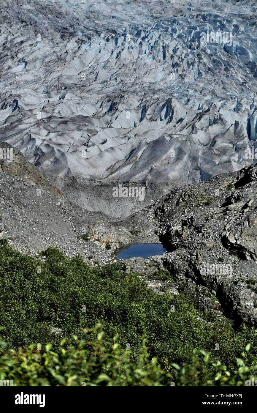 Mendelhall Gletscher Juneau AK Stockfoto