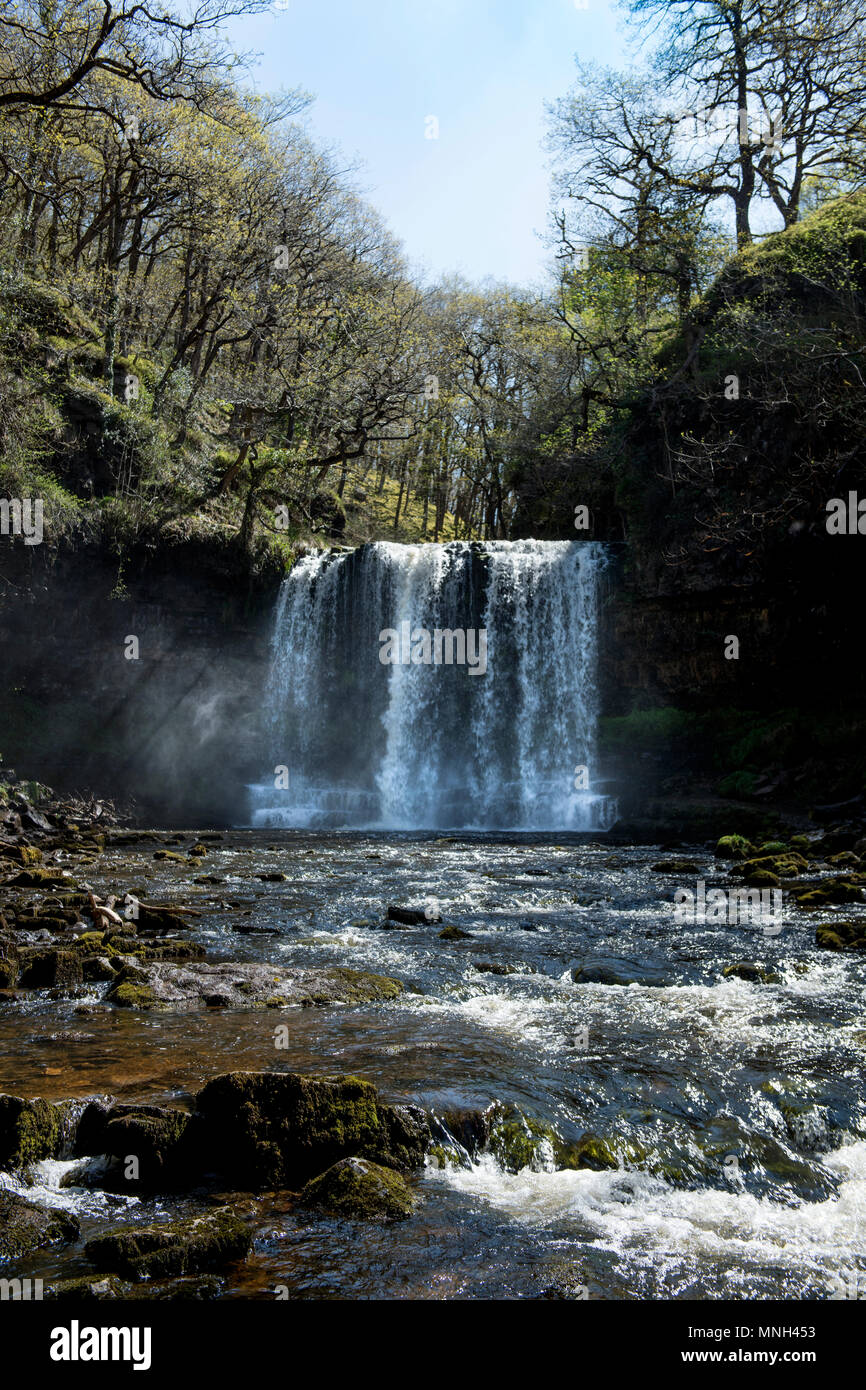 Die vier Wasserfälle zu Fuß in der Nähe von Pontneddfechan in die Brecon Beacons - die der Sgwd yr Eira fällt (fällt der Schnee) auf dem Fluss Hepste Stockfoto