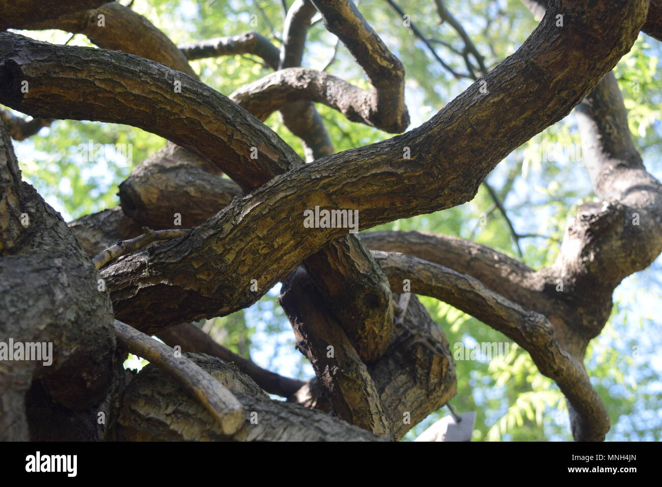 Frankfurt brandstiftung Fotos und Bildmaterial in hoher Auflösung Alamy