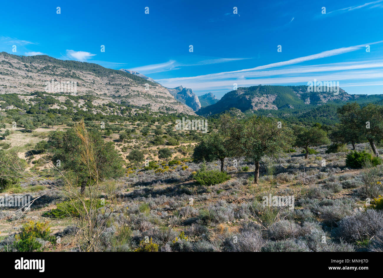 Landschaft in der Nähe von Caminito del Rey, Schlucht des Gaitanes (Desfiladero de los Gaitanes), Huelva, Malaga, Andalusien, Spanien, Europa Stockfoto