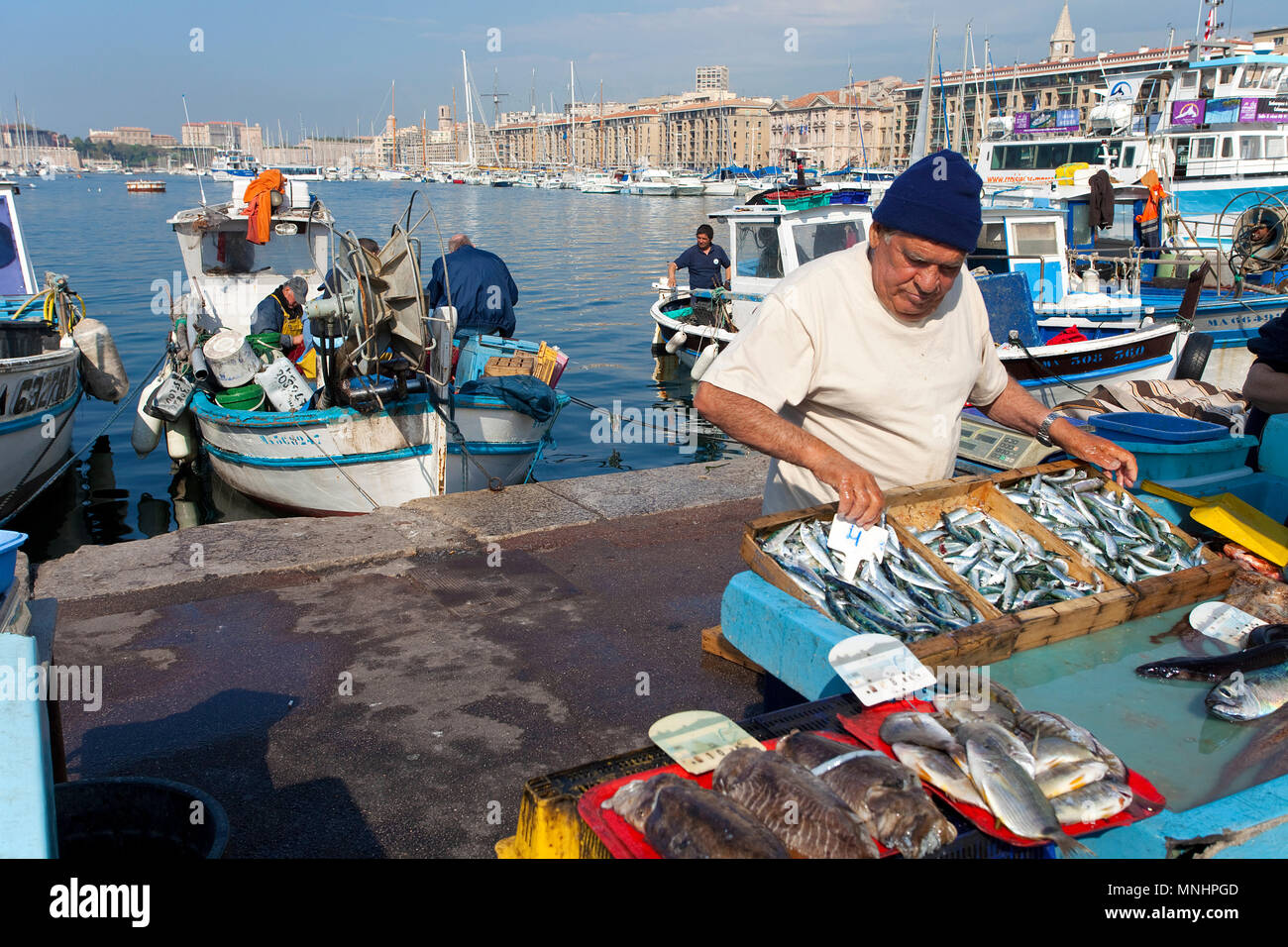 Fischer Verkauf von Fisch am Hafen Vieux Port, Marseille, Bouches-du-Rhône der Region Provence-Alpes-Côte d'Azur, Südfrankreich, Frankreich, Europa Stockfoto