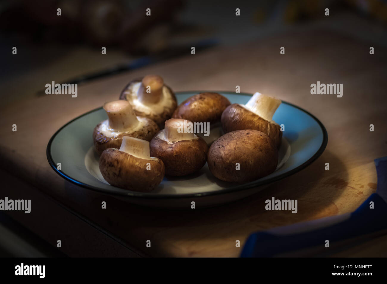 Ganze Pilze auf eine graue Platte, auf einem Schneidebrett neben einem blauen Messer Griff. Stockfoto