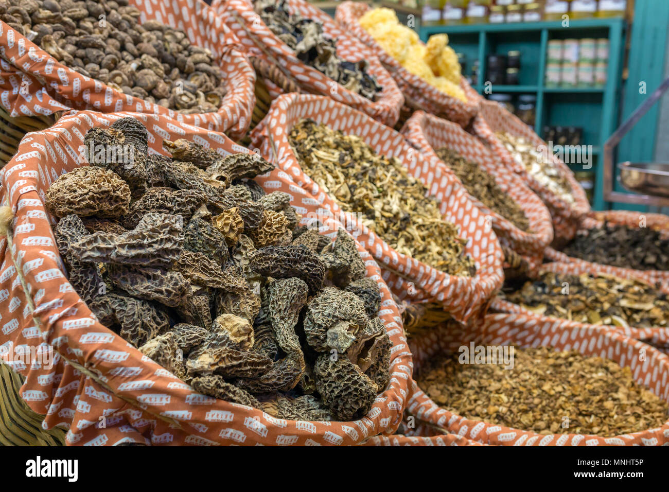 Getrocknete Pilze an der Markt La Boqueria in Barcelona. La Boqueria ist eine berühmte großen öffentlichen Markt im Stadtteil El Raval in Barcelona, Katalonien, Spanien Stockfoto