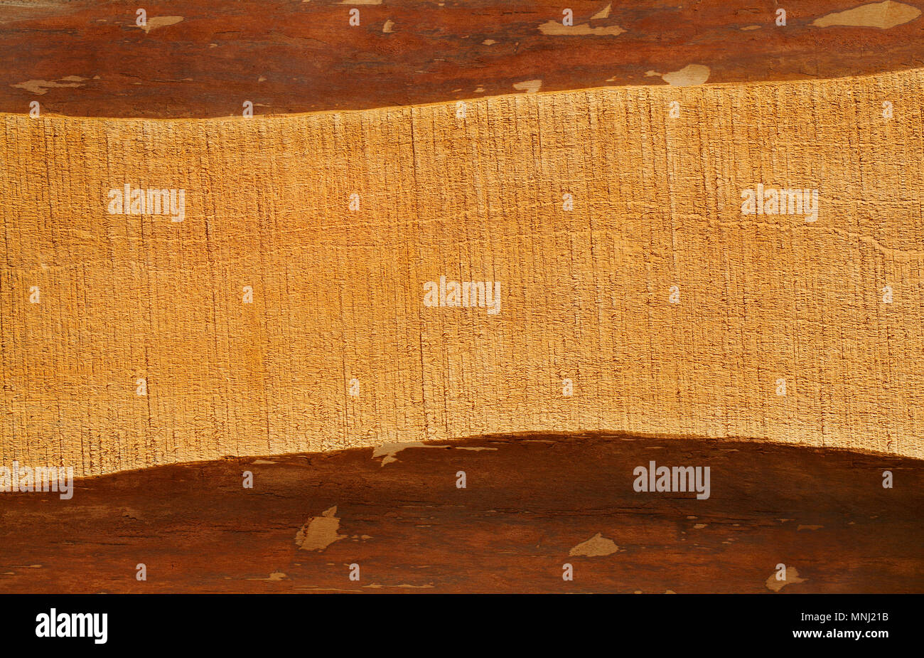 Holz Textur mit Spuren von der Säge für Hintergrund. Stockfoto