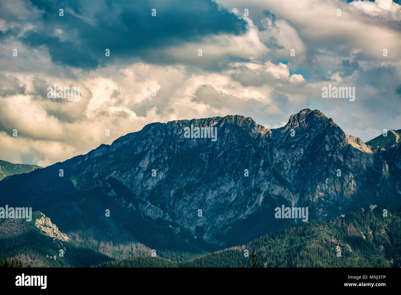 Giewont Berg, inspirierende Berge Landschaft, schöner Tag im Sommer Tatra, Blumen und Mountain Ridge über blauen Himmel in Zakopane, Polen Stockfoto