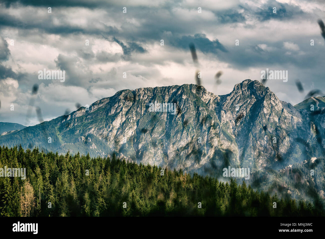 Giewont Berg, inspirierende Berge Landschaft, schöner Tag im Sommer Tatra, Blumen und Mountain Ridge über blauen Himmel in Zakopane, Polen Stockfoto