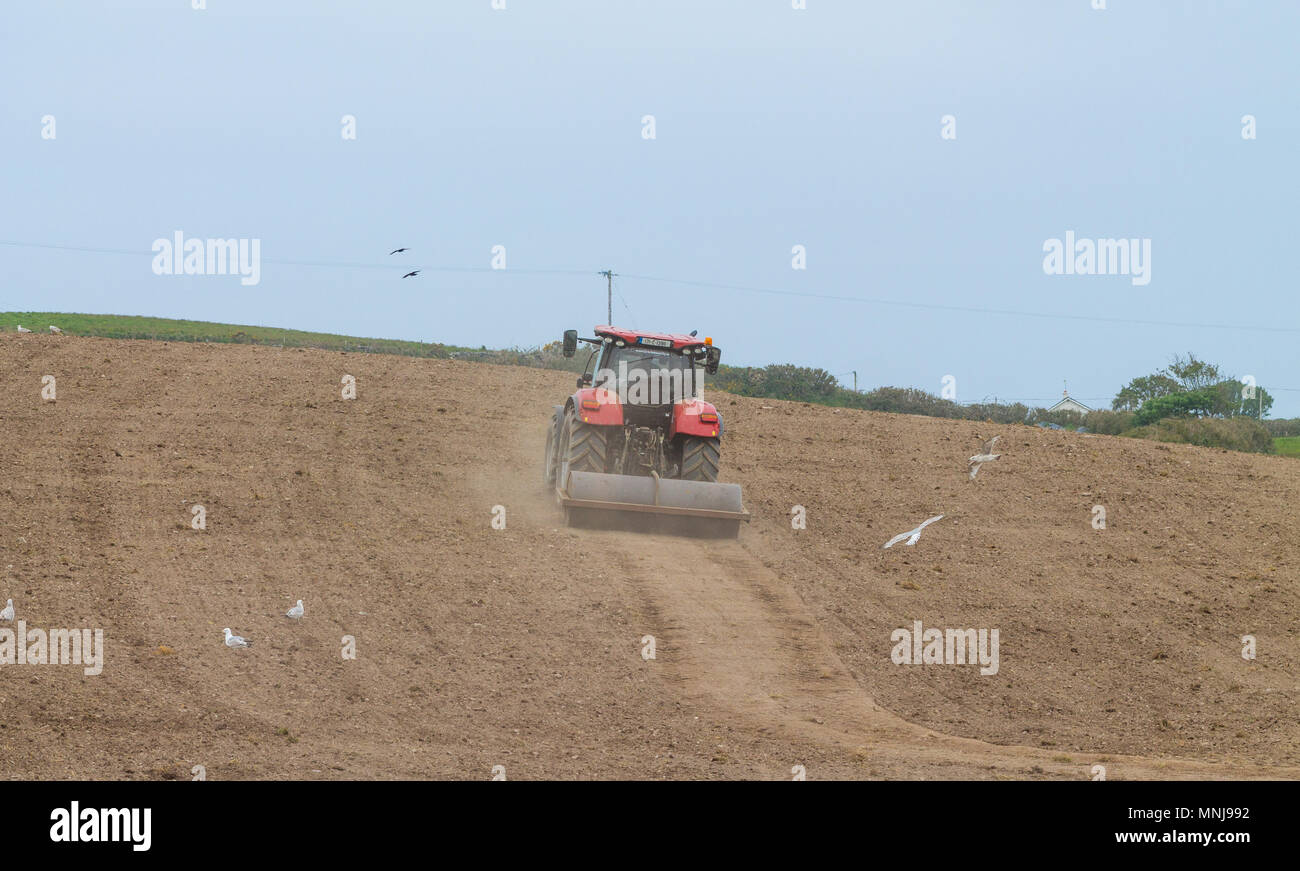 Landwirt rolling ein Feld auf einem Bauernhof in Irland, mit einer schweren Walze mit einem Traktor vor der Aussaat ein Weizen gezogen. Stockfoto