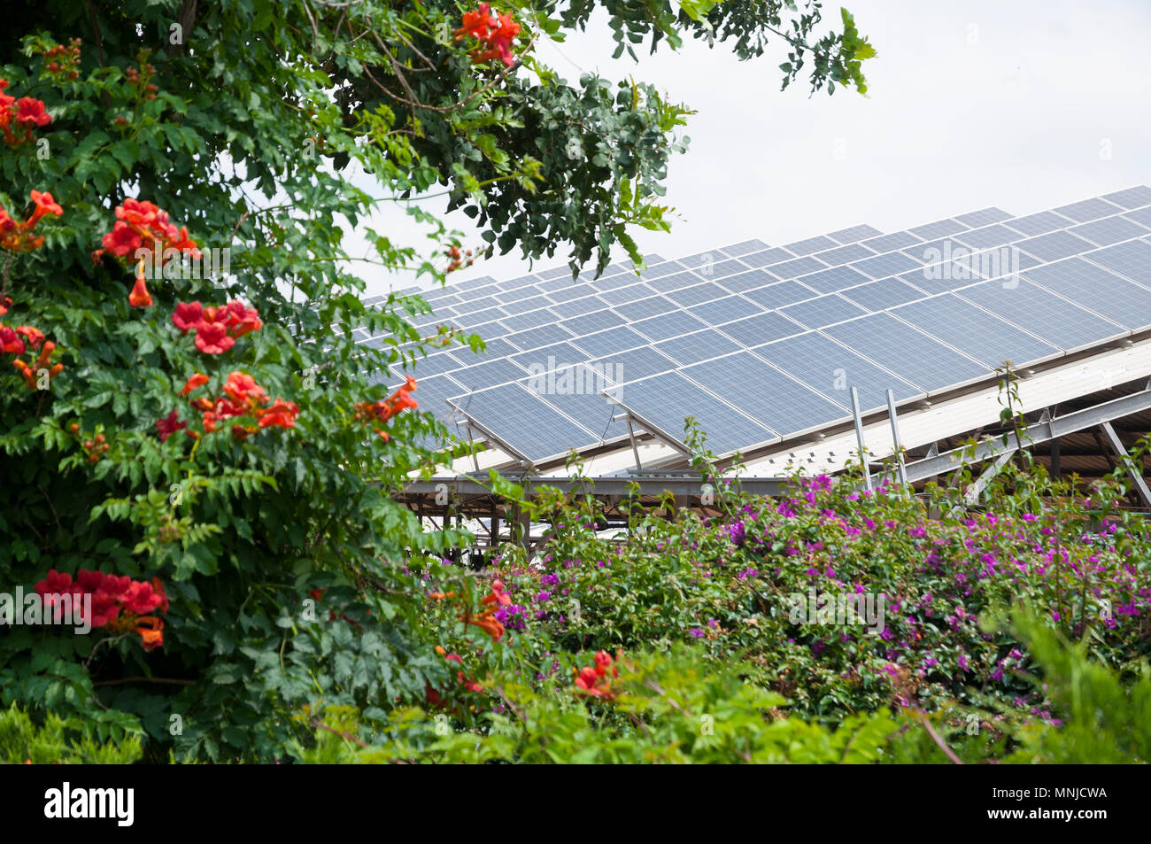 Grüne Energie, Solarzellen auf dem Dach Stockfoto