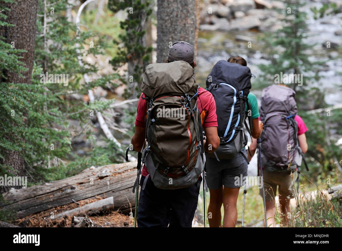 Backpackers Wanderung entlang der Lyell Gabel der Merced River auf einer zwei-wöchigen Trek der Sierra Hohe Weg zum Yosemite National Park, Kalifornien. Die 200 km Route etwa Parallels die beliebte John Muir Trail durch die Sierra Nevada von Kalifornien von Kings Canyon National Park, Yosemite National Park. Stockfoto