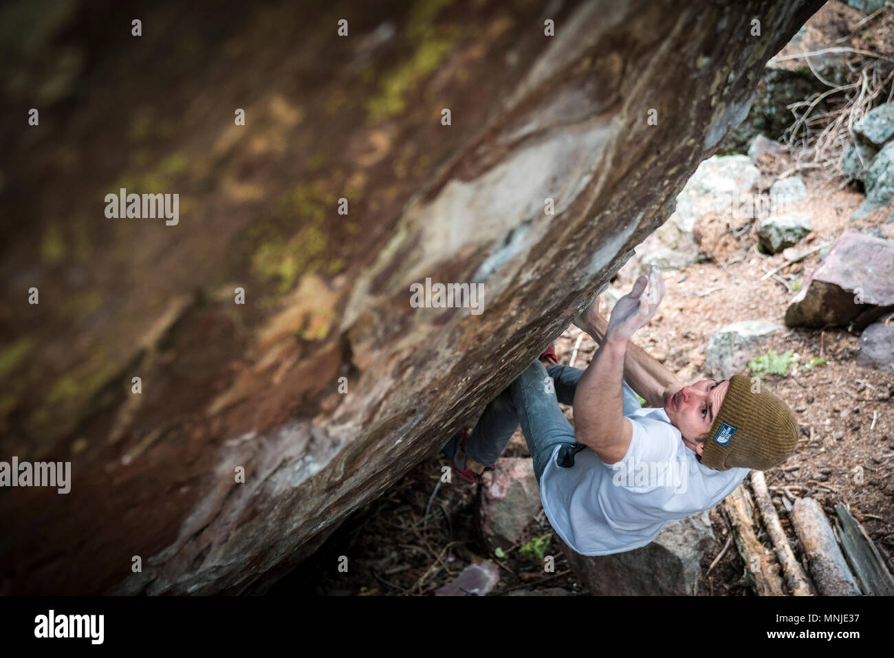 Junge männliche Kletterer Vorbereitung Boulder, Boulder, Colorado, USA, zu Klettern Stockfoto