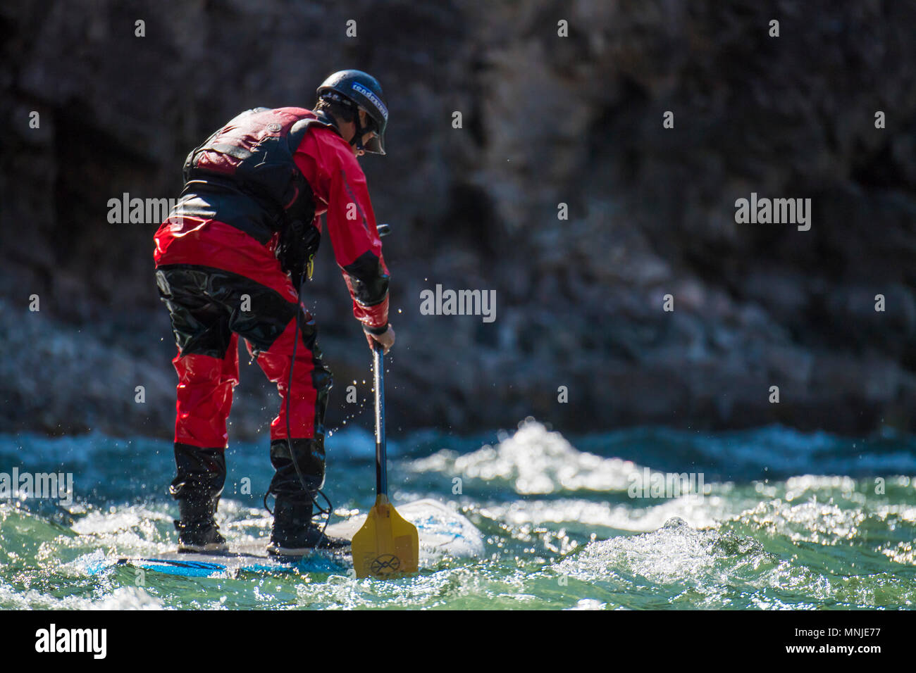 Männliche paddleboarder am Snake River, Jackson, Wyoming, USA Stockfoto