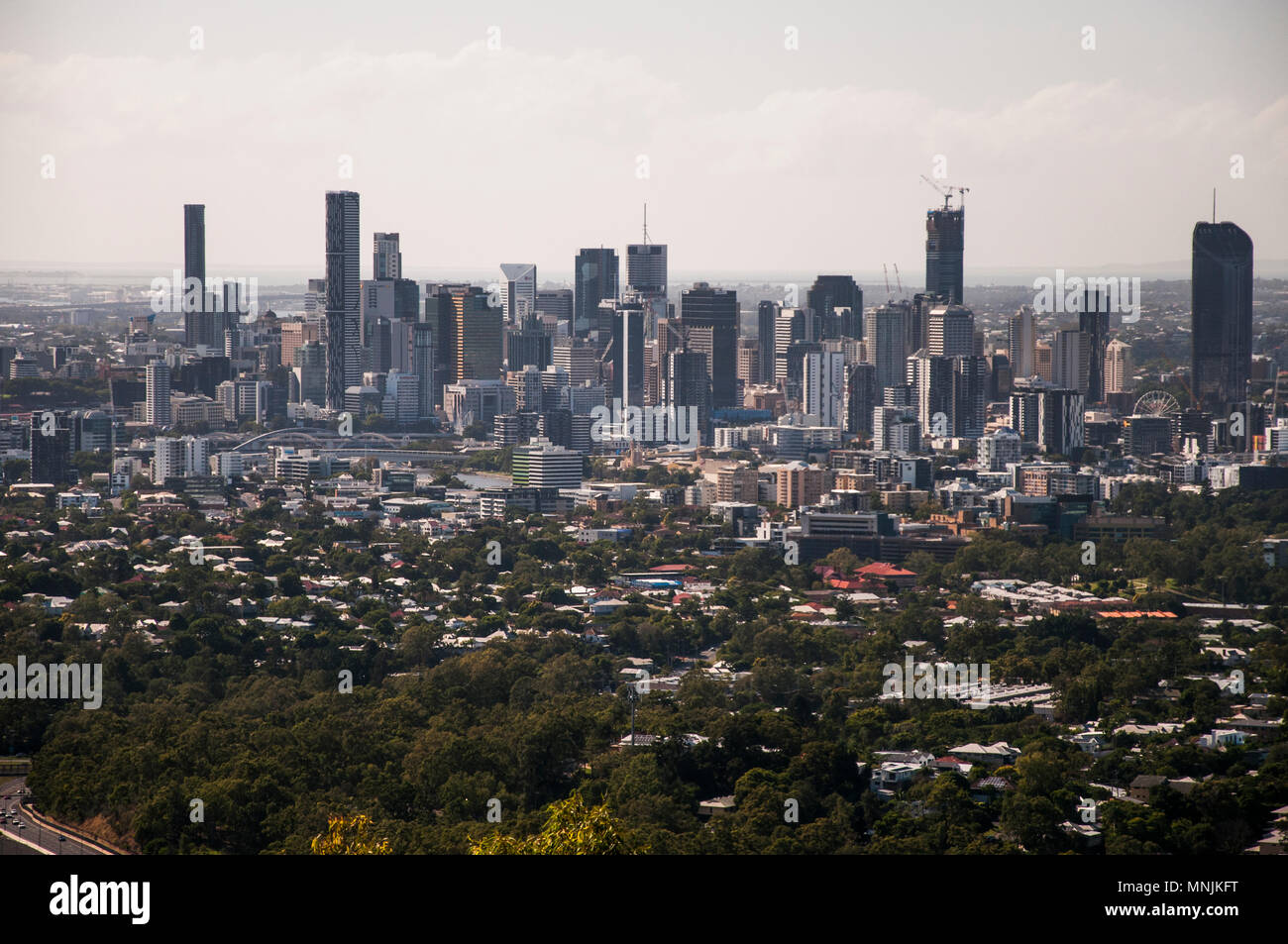Brisbane City Skyline vom Mt Coot-tha, Brisbane, Queensland, Australien Stockfoto