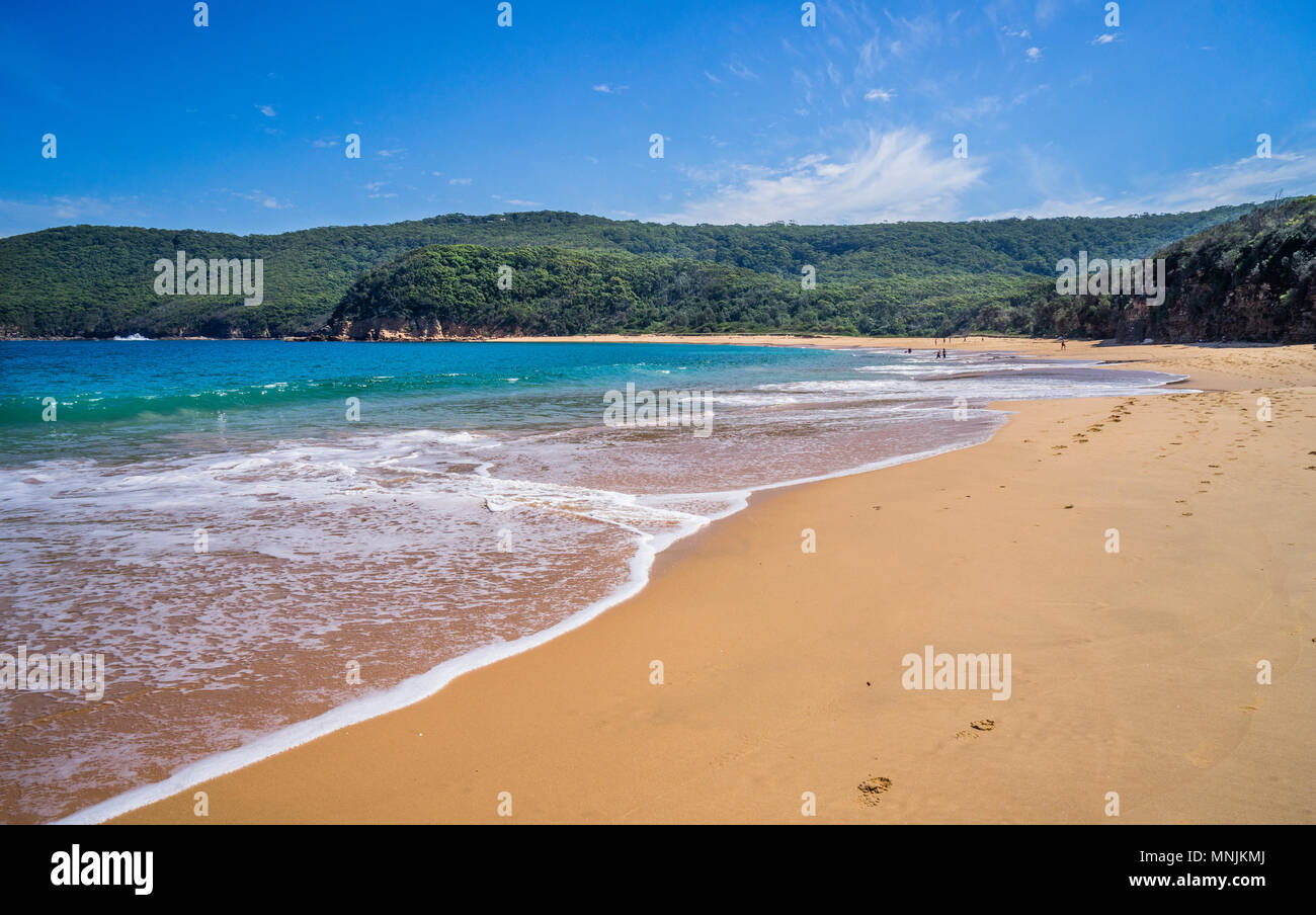 Strand von Maitland Bay, Bouddi National Park, Central Coast, New South Wales, Australien Stockfoto
