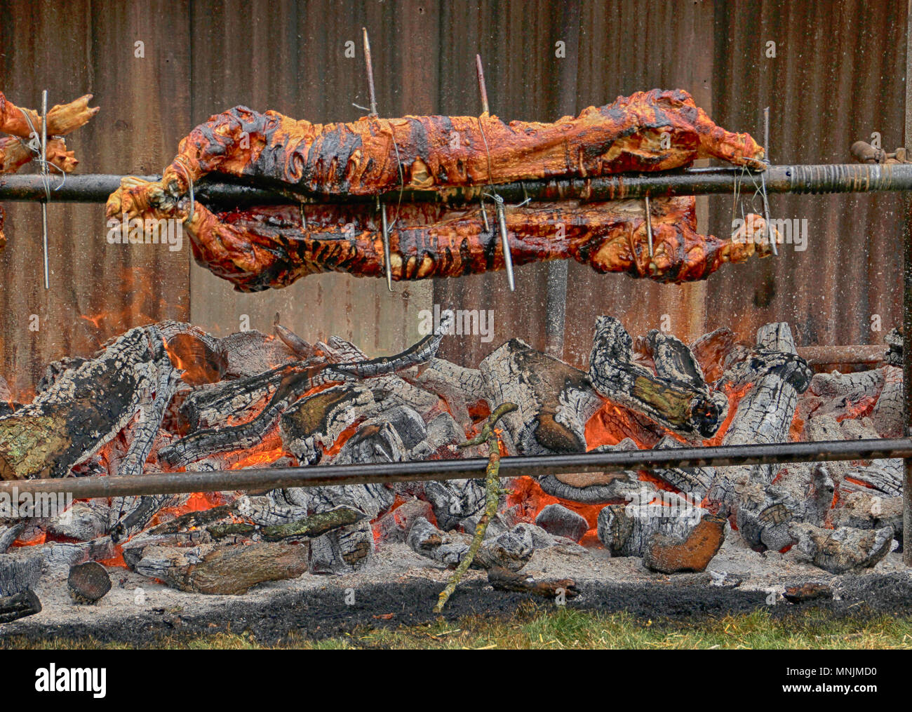 Schweinebraten in Hawkesbury Upton Dorf Fayre, Cotswolds, Großbritannien Stockfoto