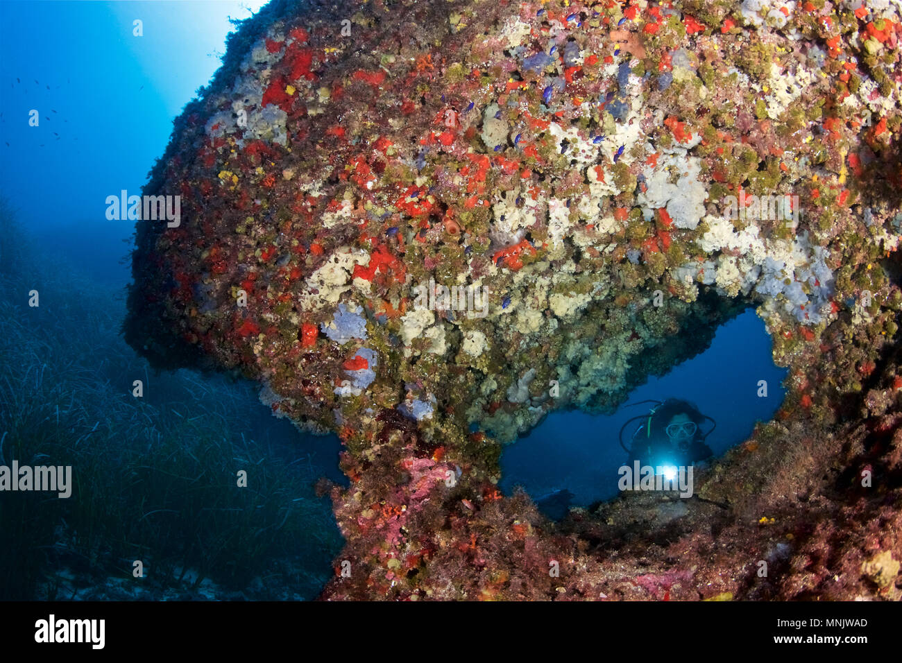 Weibliche Taucherin in einem Unterwasserbogen mit farbenfroher Unterwasserwelt im Naturpark Ses Salines (Formentera, Mittelmeer, Spanien) Stockfoto