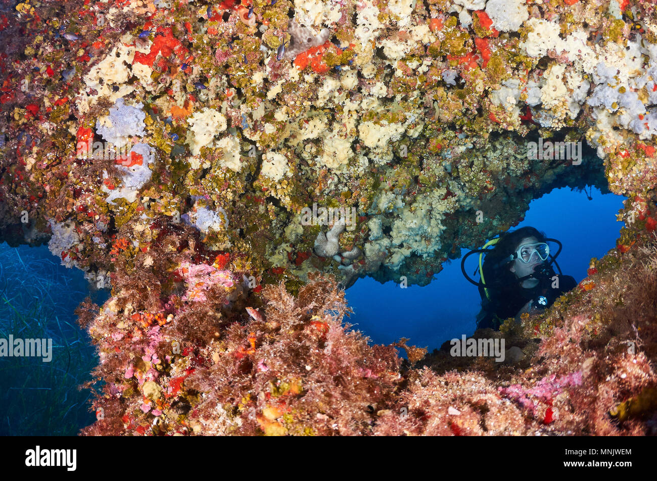 Weibliche Taucherin in einem Unterwasserbogen mit farbenfroher Unterwasserwelt im Naturpark Ses Salines (Formentera, Mittelmeer, Spanien) Stockfoto