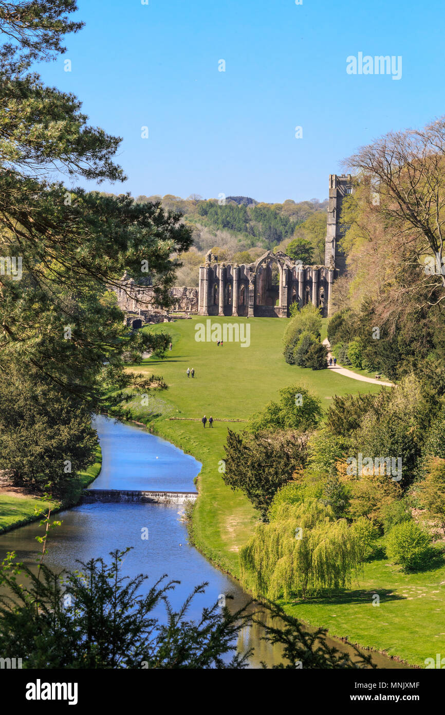 England, North Yorkshire, Ripon. Fountains Abbey, Studley Royal. UNESCO-Weltkulturerbe. National Trust, Zisterzienserkloster. Fluss Skell, Surpri Stockfoto