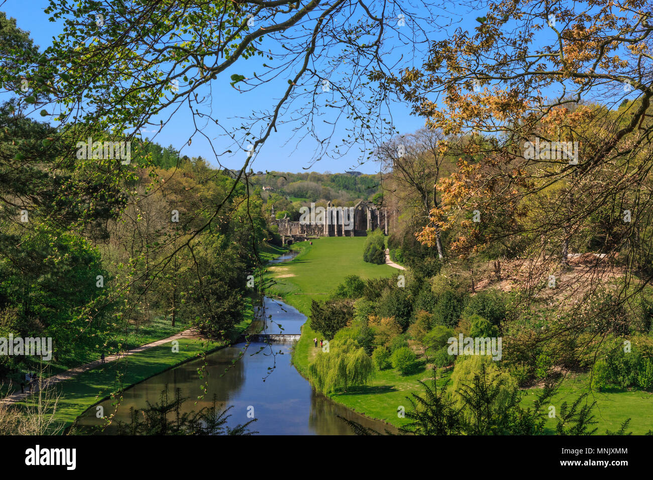 England, North Yorkshire, Ripon. Fountains Abbey, Studley Royal. UNESCO-Weltkulturerbe. National Trust, Zisterzienserkloster. Fluss Skell und Sur Stockfoto