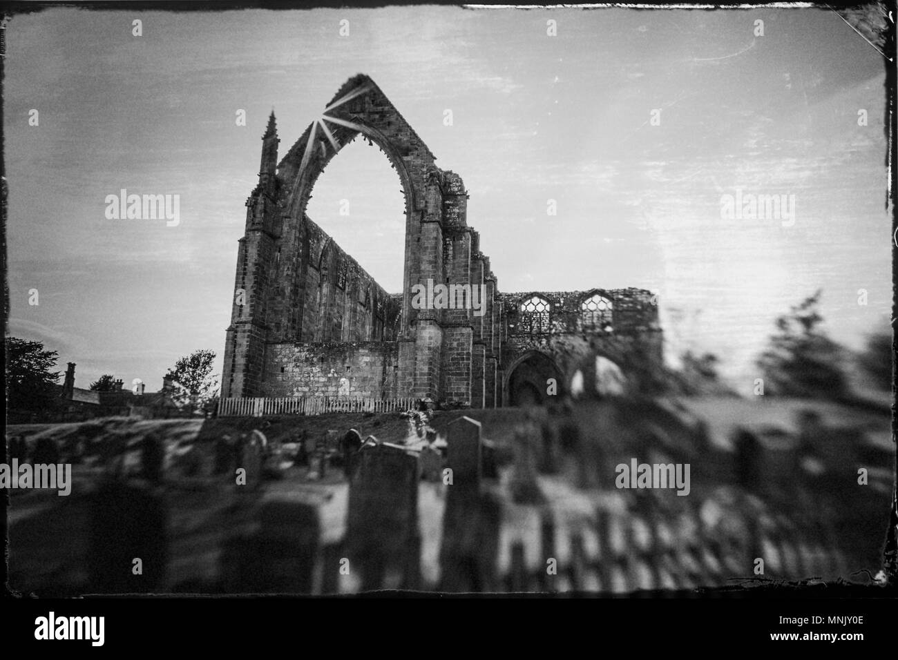 England, North Yorkshire, Wharfedale, Bolton Abbey, Bolton Priory. Gelände und Ruinen des Augustinerklosters aus dem 12. Jahrhundert. In der Nähe von River Wharfe. Digitale Stockfoto