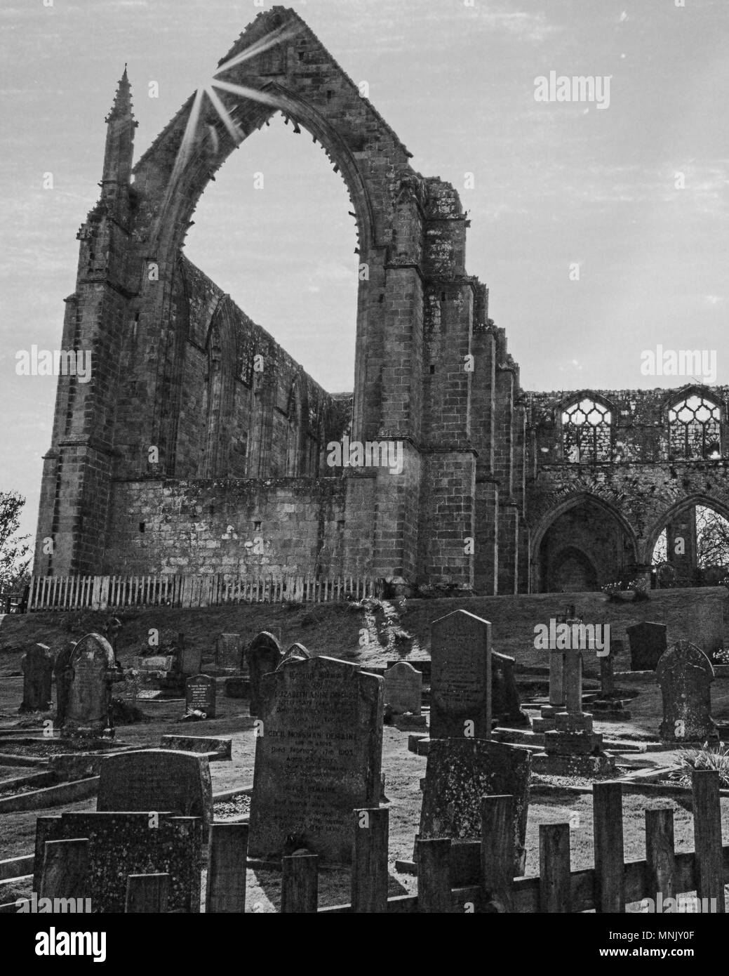 England, North Yorkshire, Wharfedale, Bolton Abbey, Bolton Priory. Gelände und Ruinen des Augustinerklosters aus dem 12. Jahrhundert. In der Nähe von River Wharfe. Digitale Stockfoto