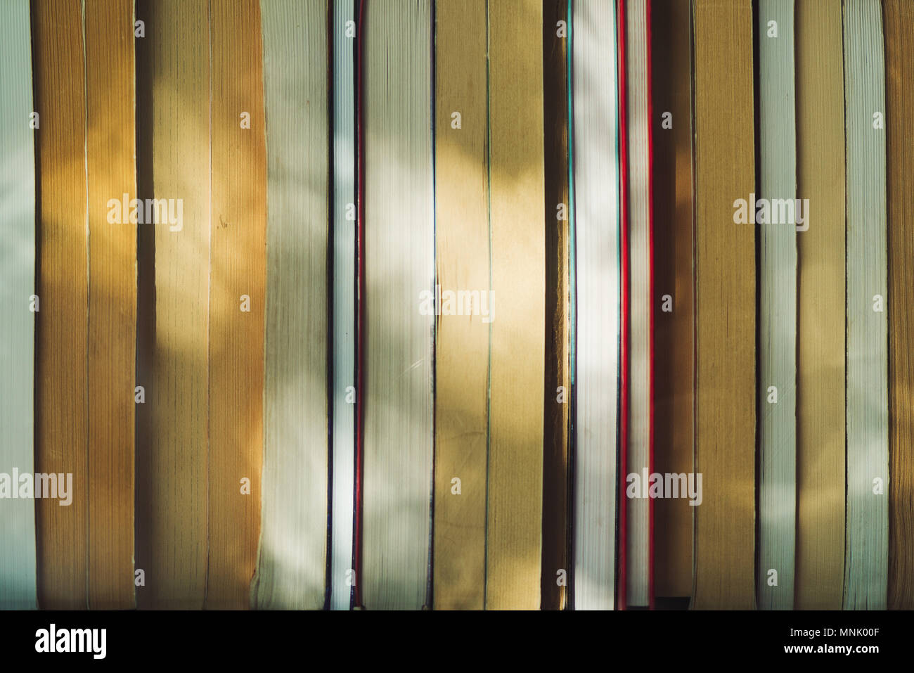 Gebrauchte Bücher im Regal in der Bibliothek Stockfoto
