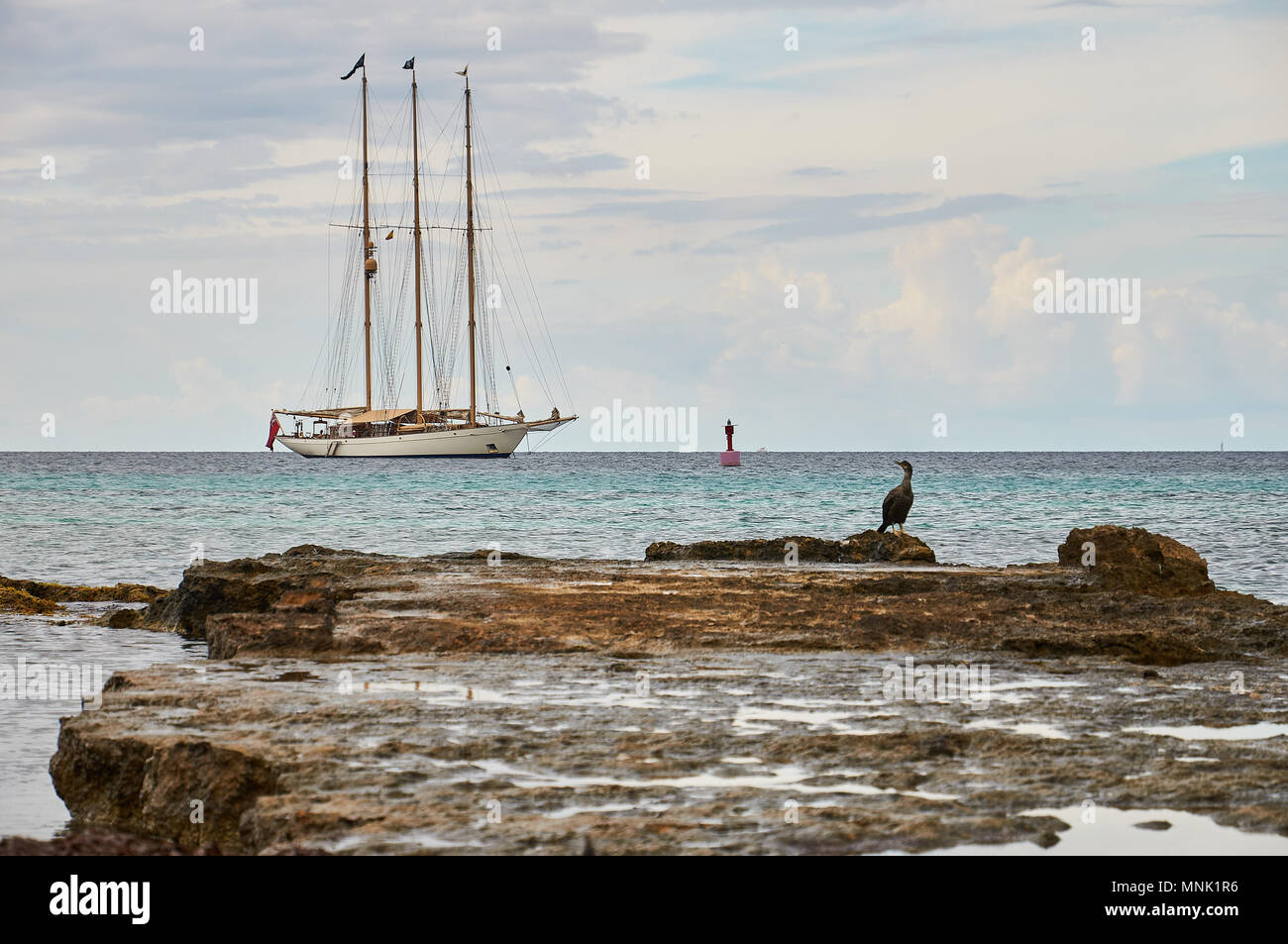 Klassisches Segelschiff mit roter Flagge und einem europäischen Shag (Phalacrocorax aristotelis) in Formentera (Balearen, Mittelmeer, Spanien) Stockfoto