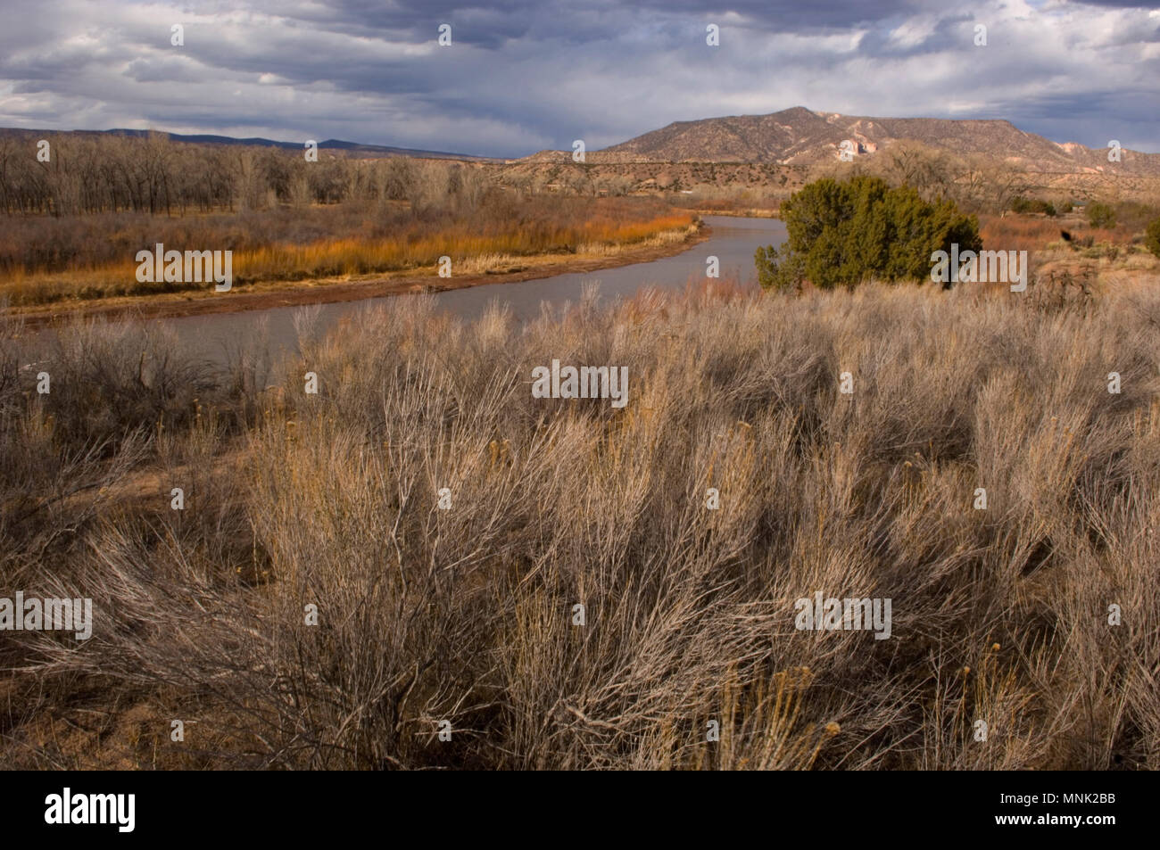 Fluss in der Landschaft mit Herbstfarben außerhalb von Santa Fe, New Mexico Stockfoto