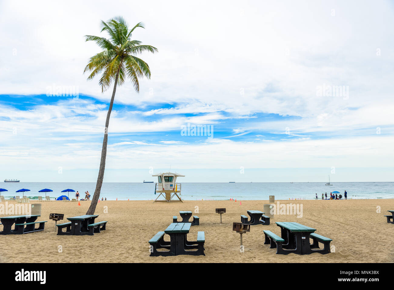 Paradise Strand bei Fort Lauderdale in Florida an einem schönen Sommer Tag. Tropischer Strand mit Palmen am weißen Strand. USA. Stockfoto