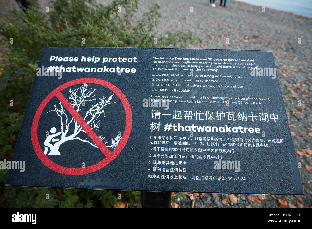 Zeichen für "Baum", dass Wanaka Lake Wanaka, Otago, Südinsel, Neuseeland Stockfoto