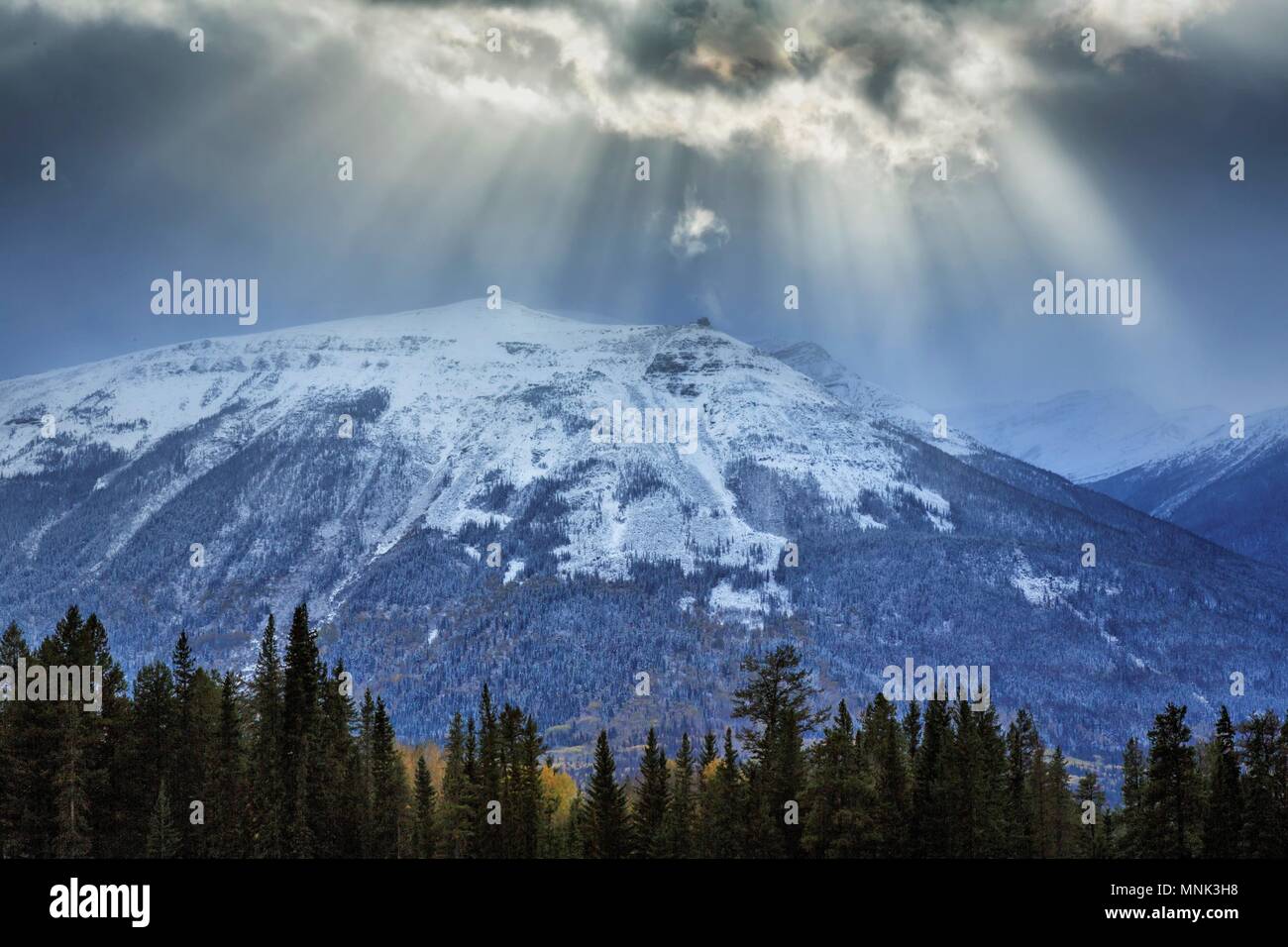 Maligne Lake Road, Jasper National Park, Kanada Stockfoto