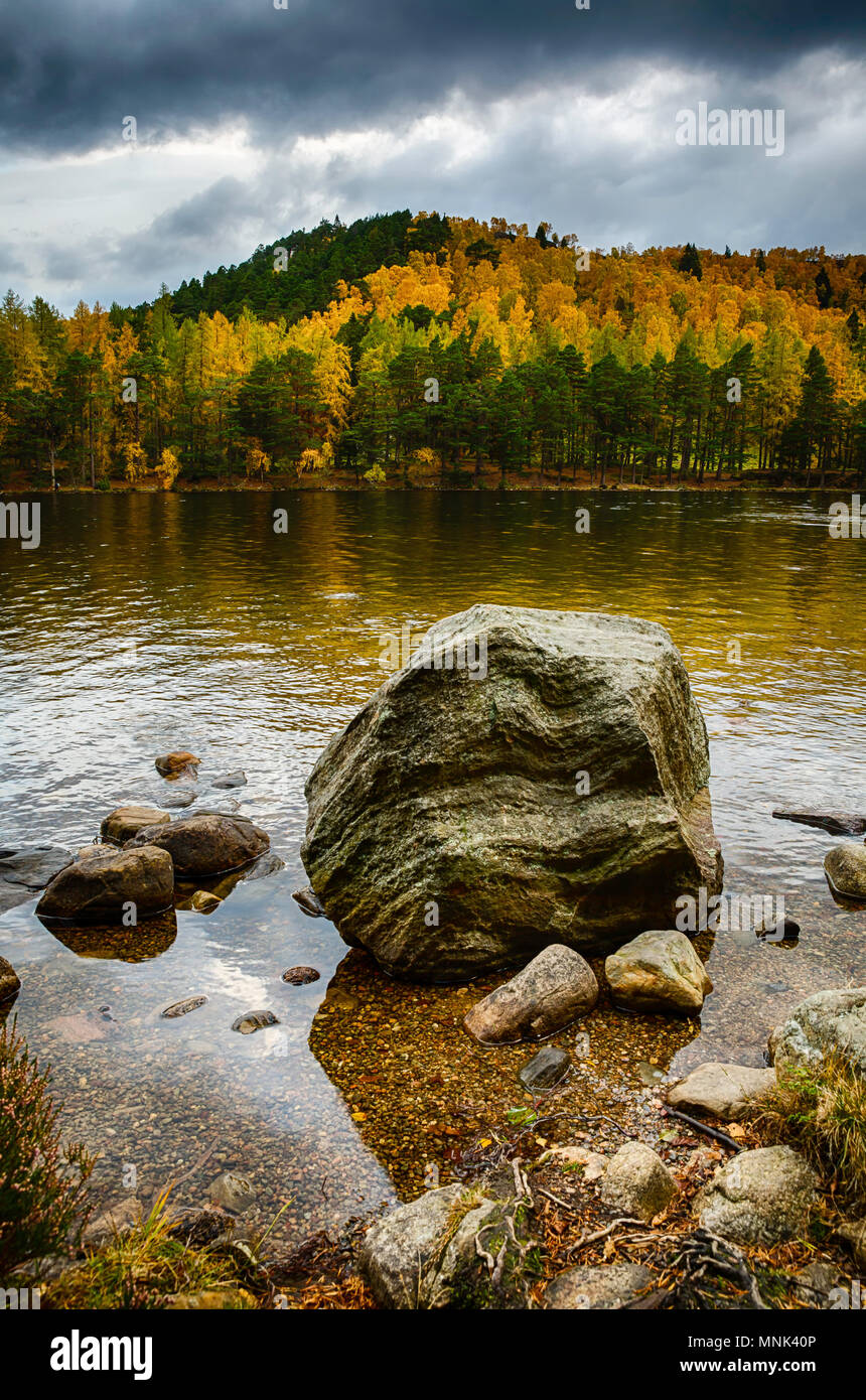 Auf einem Stein saß gerade auf die ruhige Szene starrte kurz vor Sonnenaufgang, Herbst Farben von ihrer besten Seite. Stockfoto