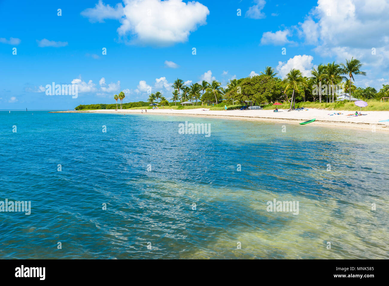 Sombrero Strand mit Palmen auf den Florida Keys, Marathon, Florida, USA. Tropische und Paradise Destination für den Urlaub. Stockfoto