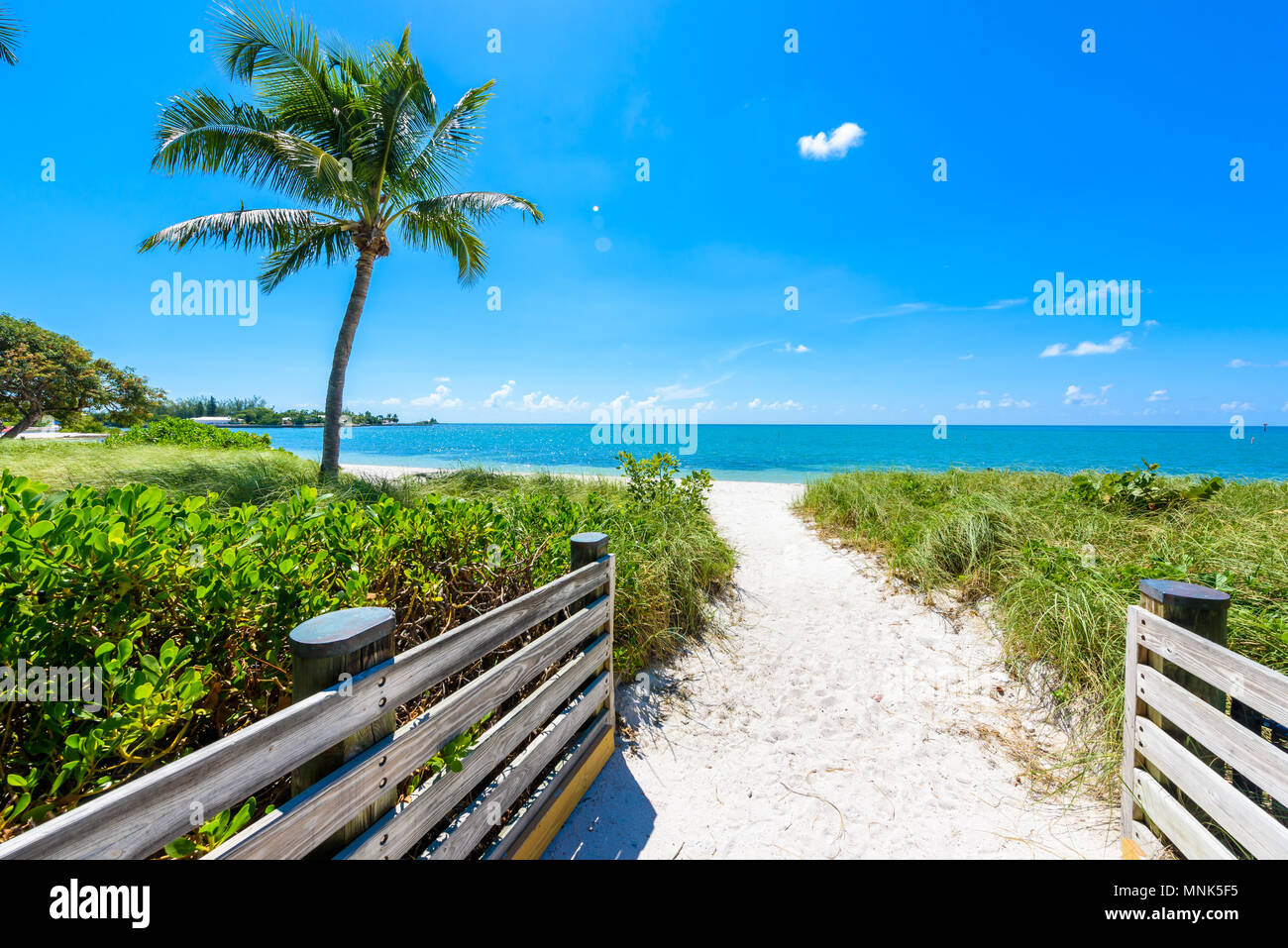 Sombrero Strand mit Palmen auf den Florida Keys, Marathon, Florida, USA. Tropische und Paradise Destination für den Urlaub. Stockfoto