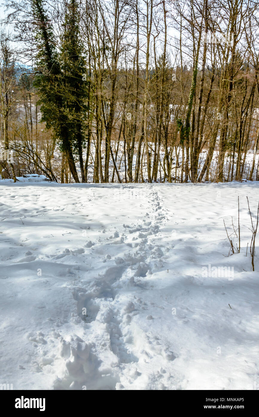 Spuren im Schnee Stockfoto