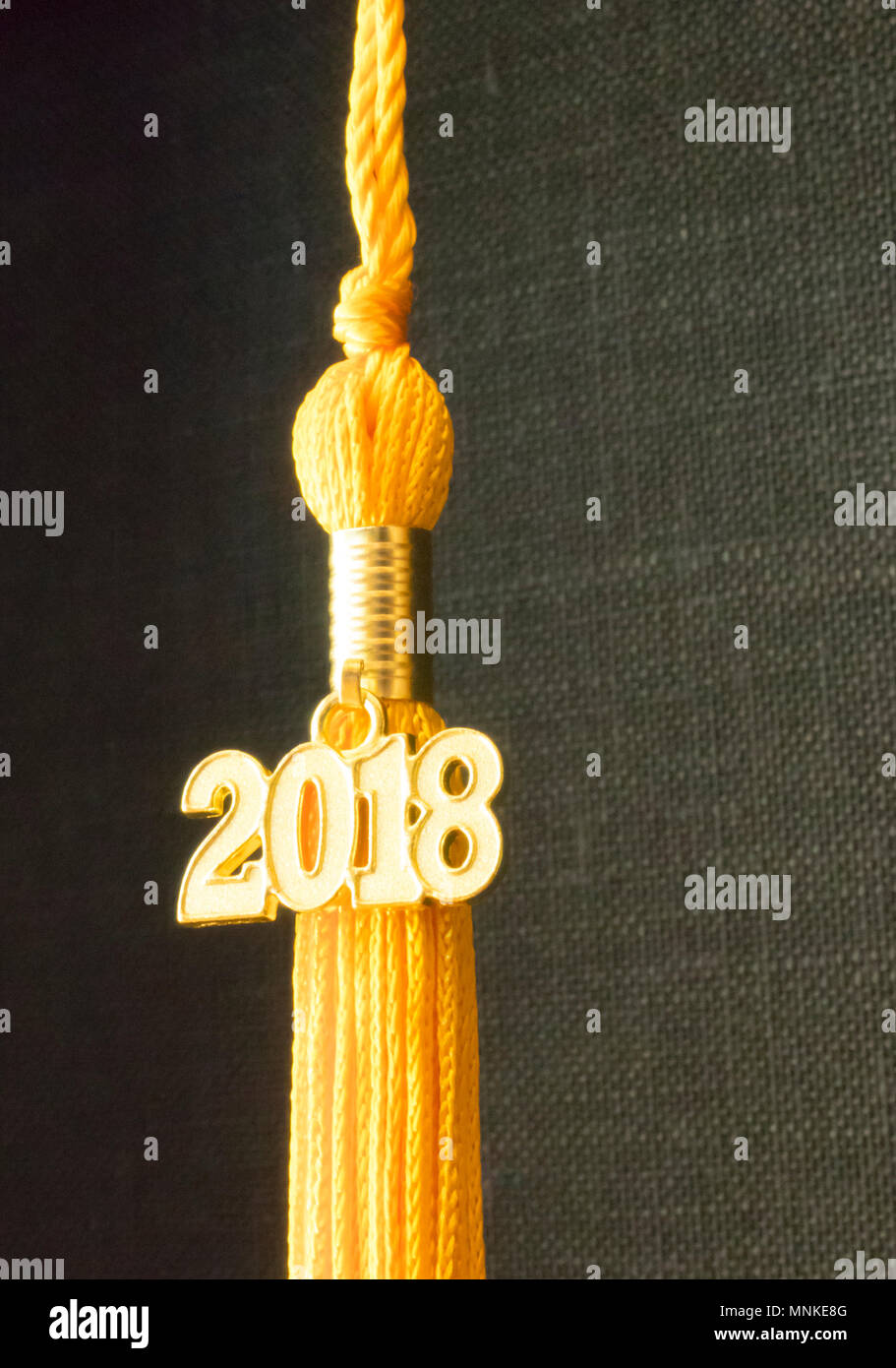 Graduation hat icon Fotos und Bildmaterial in hoher Auflösung Alamy