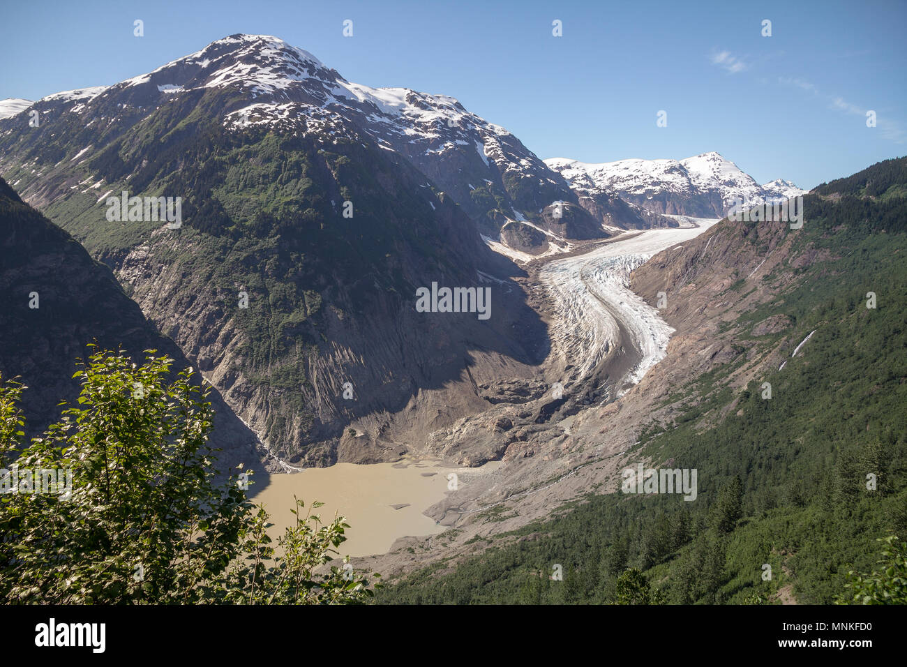 In Northern BC 40 km Stewart entfernt - über Hyder Alaska zugegriffen wird fünftgrößte Gletscher in Kanada. Im Zehenbereich, Graten der Moräne hinterlegt worden Stockfoto