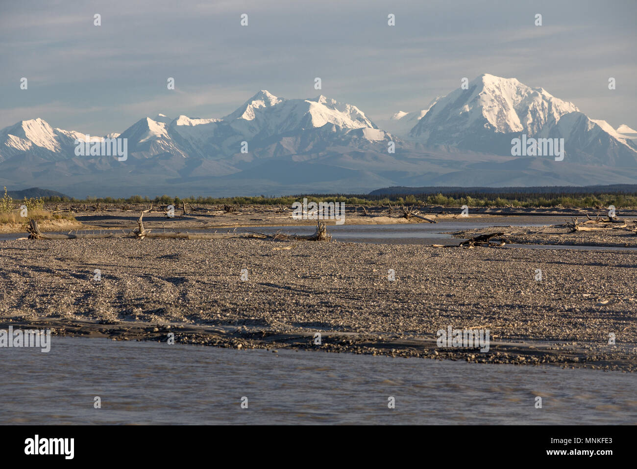 Blick über breite Aue des Flusses Tanana zu mächtigen Alaska Mountain Range. Noch Mitte Juni, diese nördlichste Berge noch viel Schnee und Eis Stockfoto