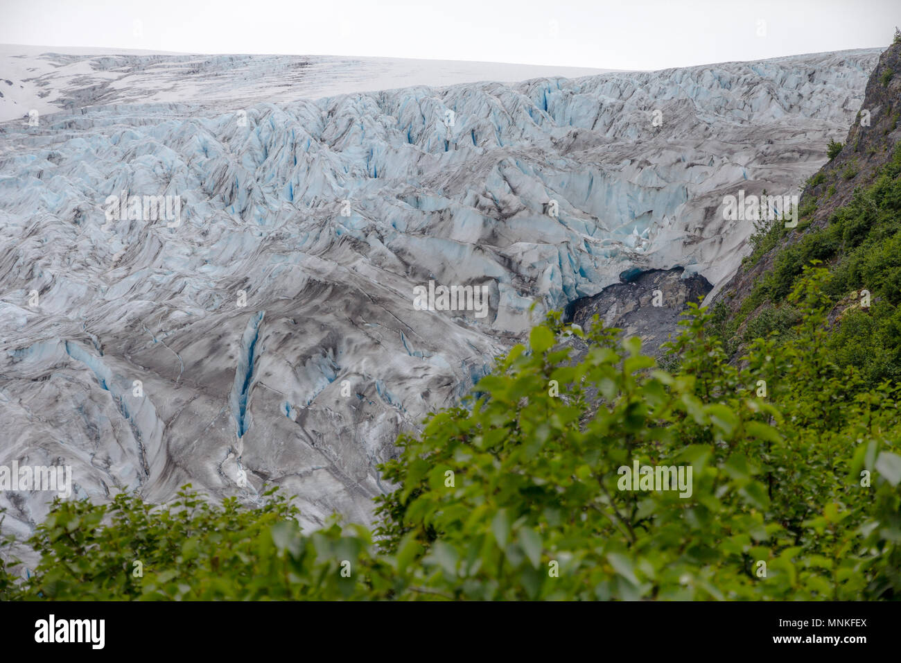 In Kenai Fjords Nat'l Park in der Nähe von Seward, Alaska, können Besucher Wanderung zu beenden Gletscher - eine massive, geriffelte Zunge Eis von Harding Icefield. Stockfoto