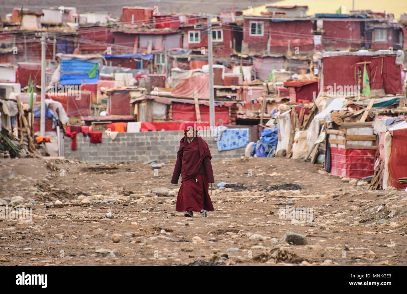 Tibetische Nonne und Slum auf das Kloster Insel Yarchen Gar, Sichuan, China Stockfoto