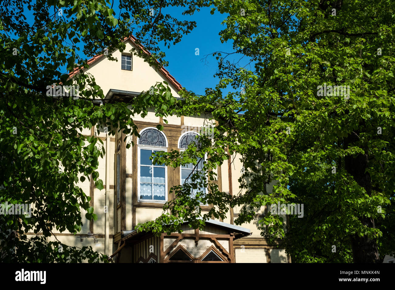 Quedlinburg im Frühjahr Stockfoto