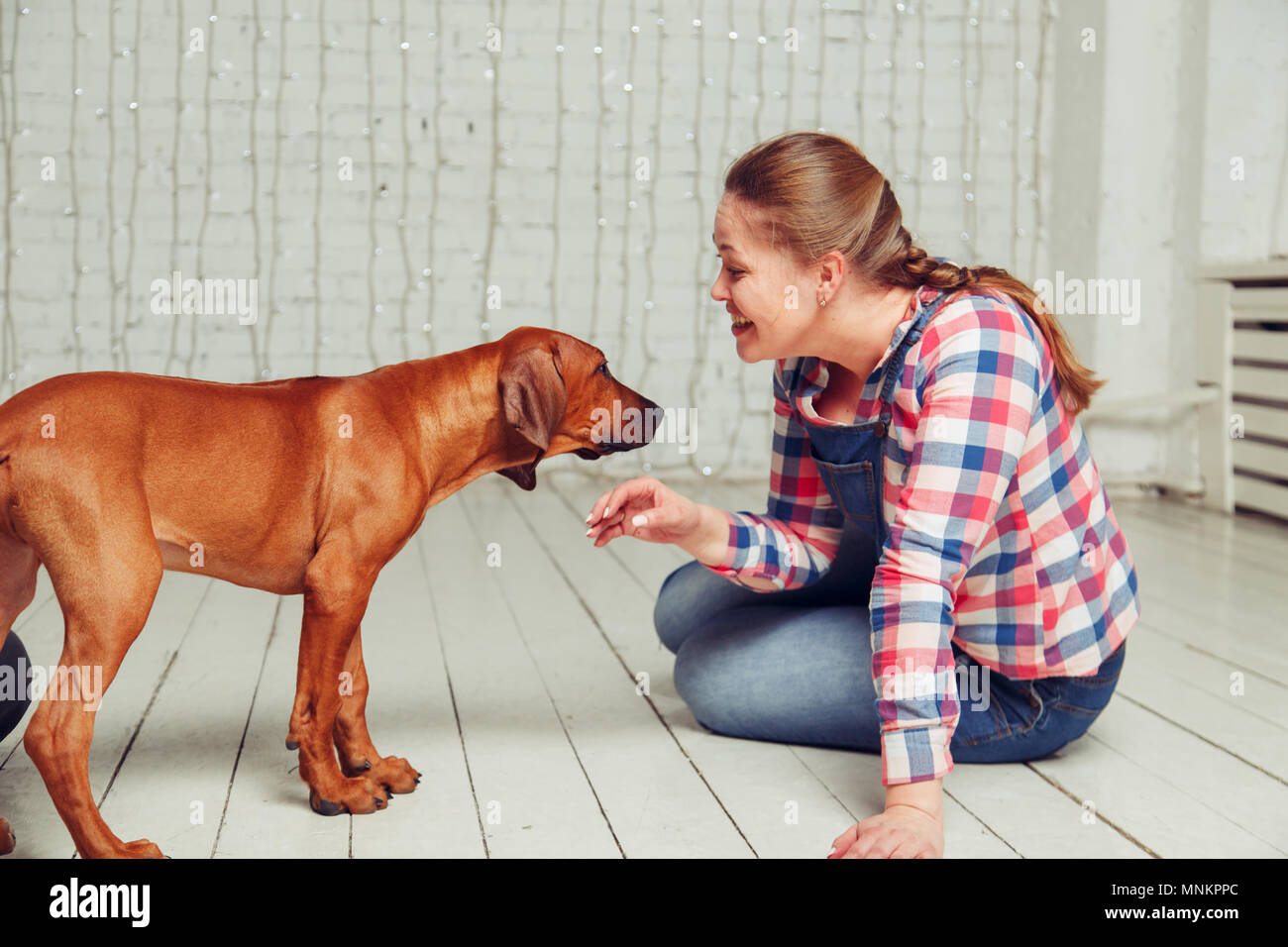 Junge Frau spielt mit ihren Welpen. Hausgemachte Spaß. Stockfoto