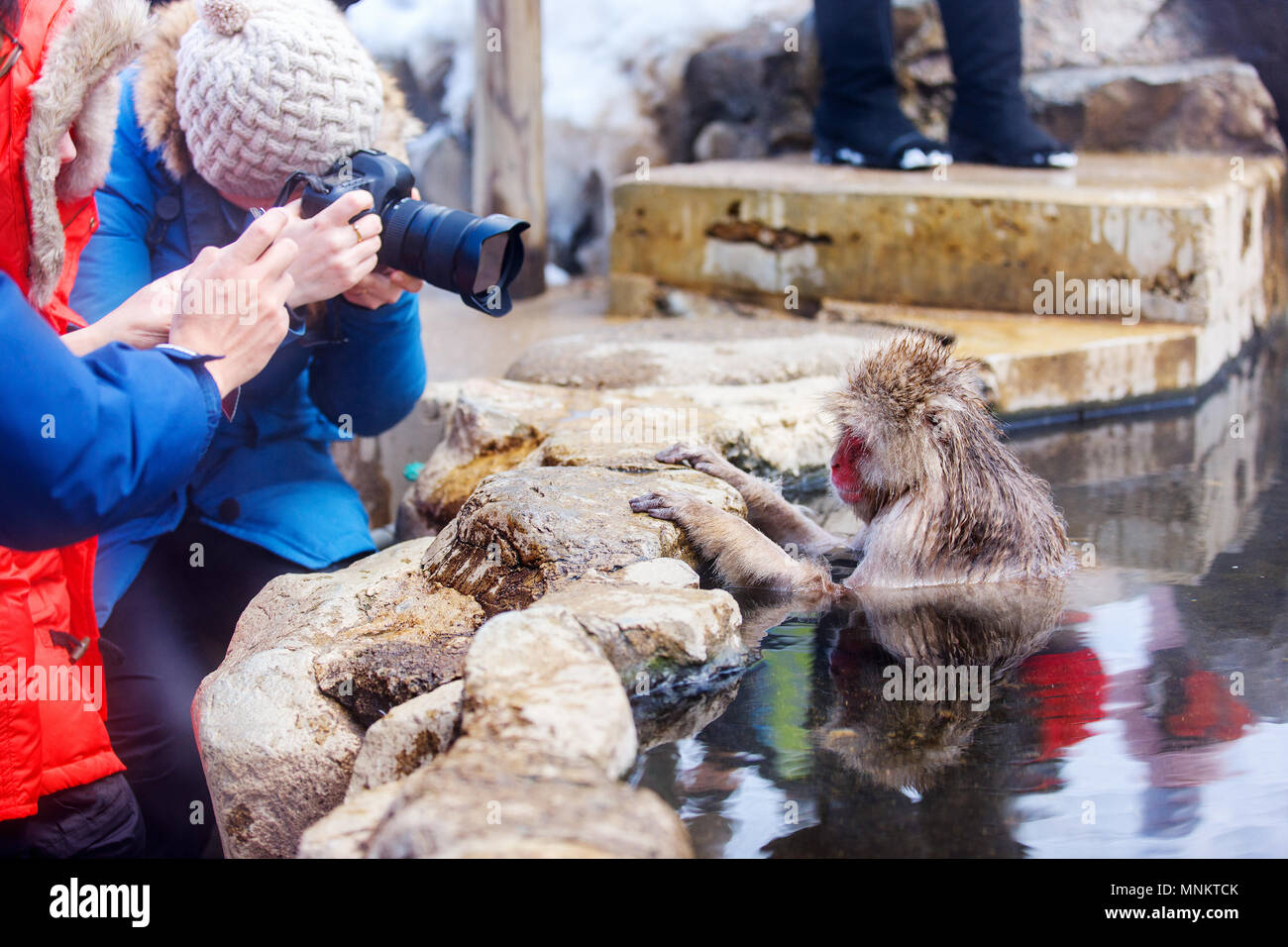 Touristen Fotos von Schnee Affen Japanmakaken baden in Onsen Hot Springs in Nagano, Japan Stockfoto