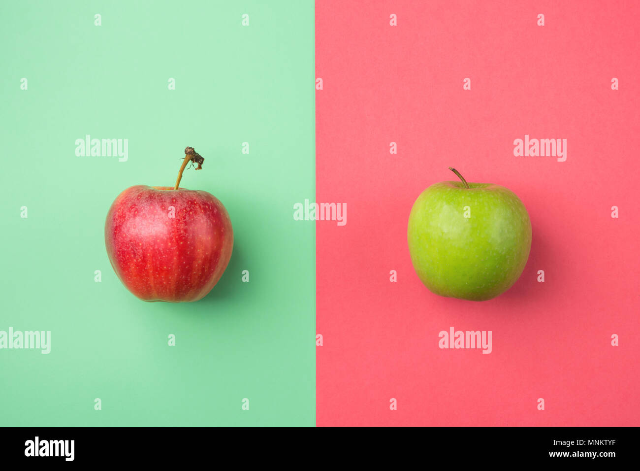 Reif organische Äpfel auf Split Duplex Grün Rot Cherry Rosa Hintergrund. Kreative Bild gestaltet. Vitamine Sommer vegane Fashion Concept. Essen Poster mit Stockfoto