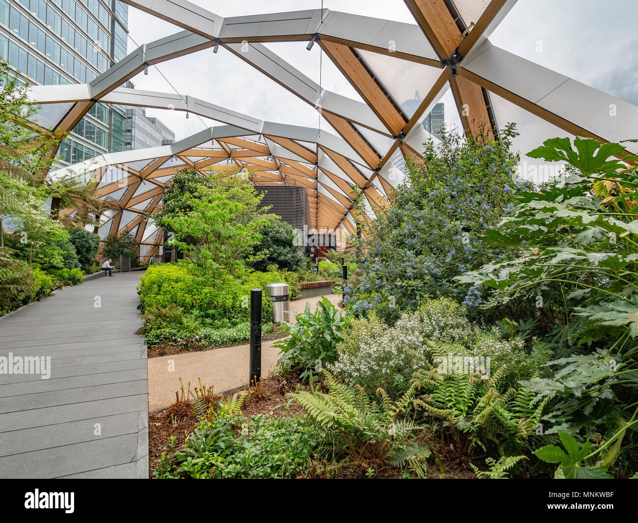 Öffentliche Dachgarten, Crossrail, Canary Wharf, London, Großbritannien. Stockfoto