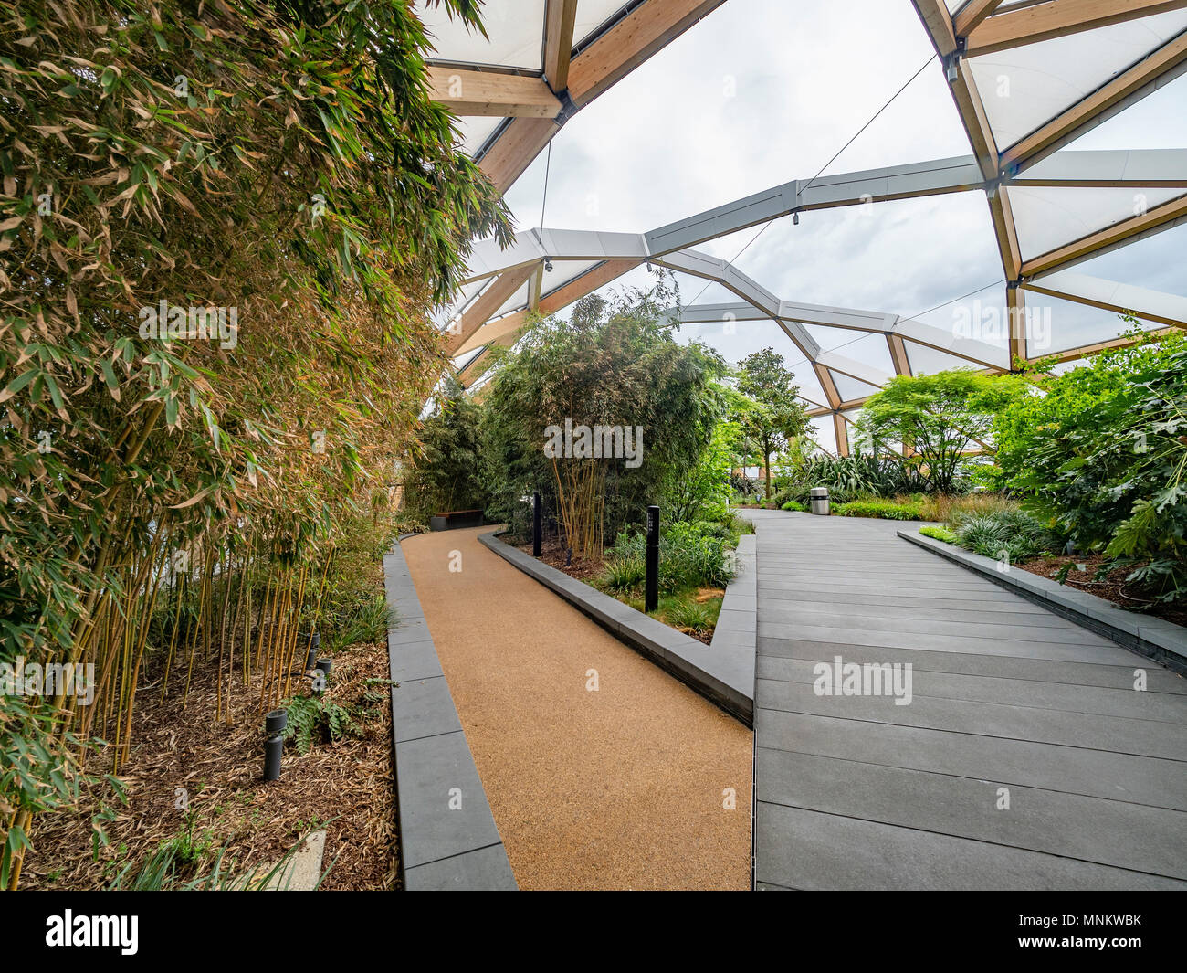 Öffentliche Dachgarten, Crossrail, Canary Wharf, London, Großbritannien. Stockfoto