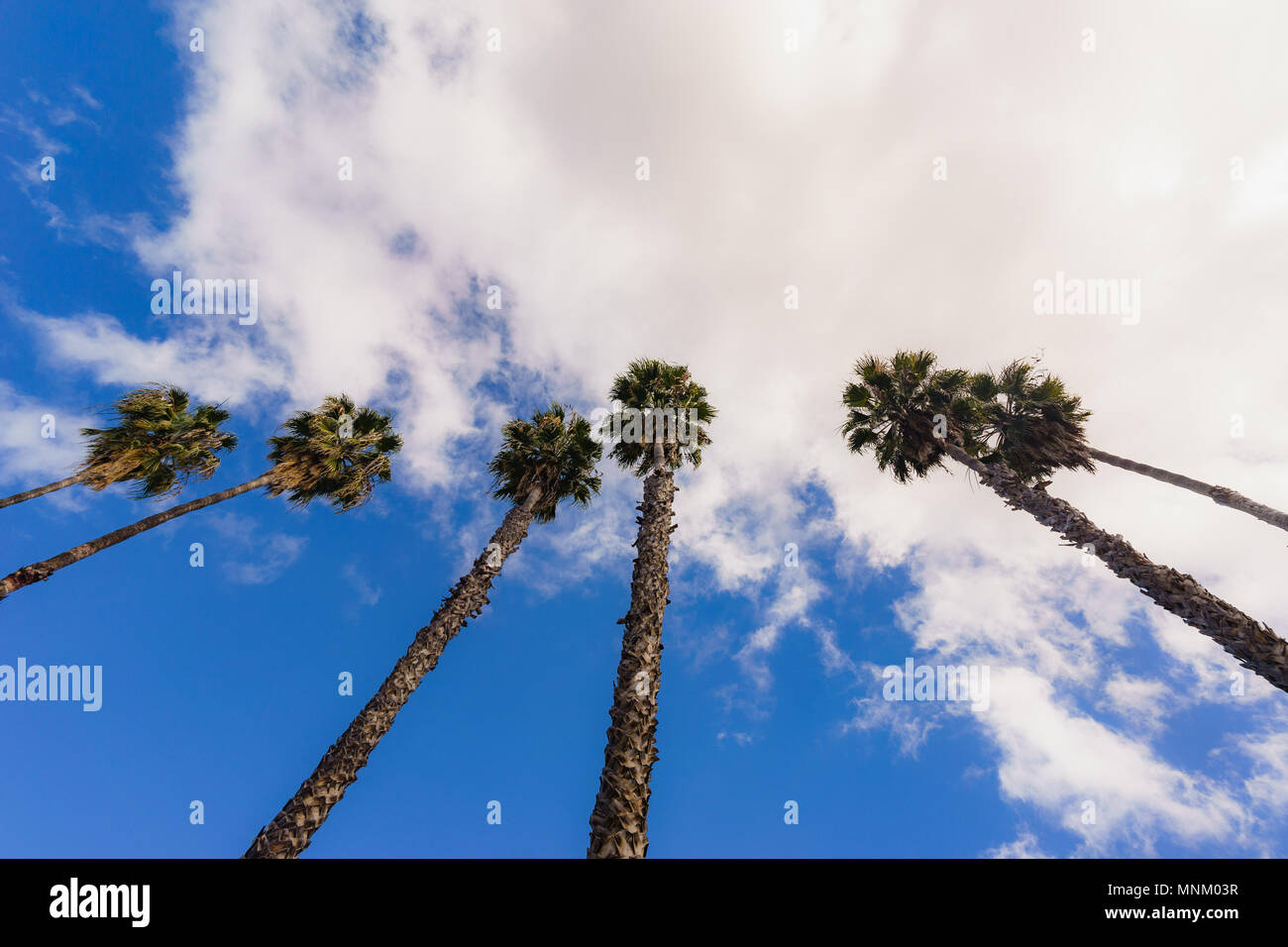 Hohe Dünne Wolken Stockfotos & Hohe Dünne Wolken Bilder - Alamy