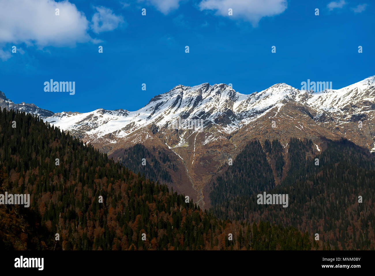 Nebliger Herbst Nadelwald Landschaft Luftaufnahme Hintergrund Reisen ruhigen malerischen Blick Stockfoto